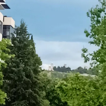 Conception Apartment